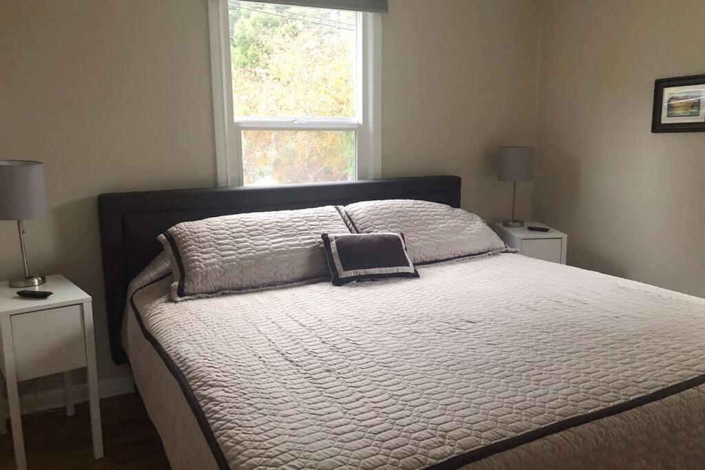 Cozy Crown Hill Carkeek Cottage W/3 Beds, Full Kitchen & Backyard In North Сиэтл Экстерьер фото
